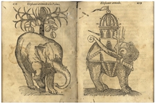 1578 First Edition of ''Tractado de las drogas, y medicinas de las Indias Orientales'' -- The Important Reference of Therapeutic Botany From the Age of Exploration, Complete With All 48 Woodcuts